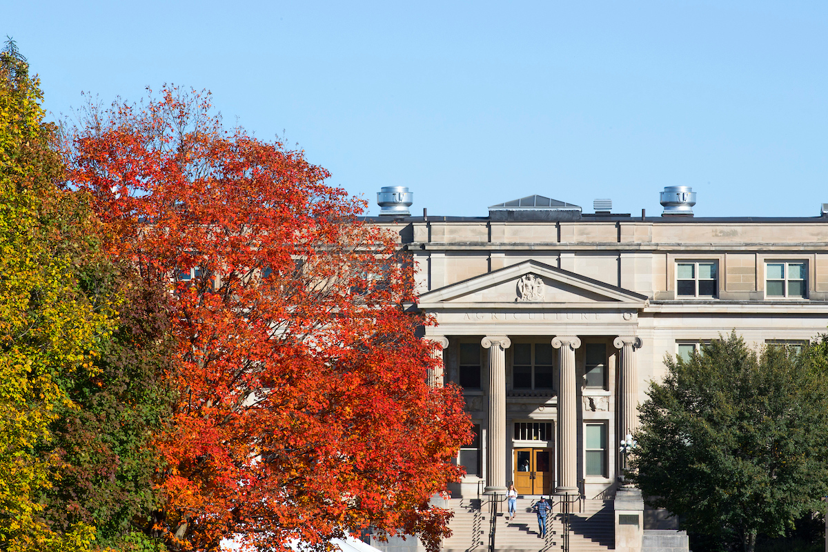 Fall tree in front of Beardshear hall