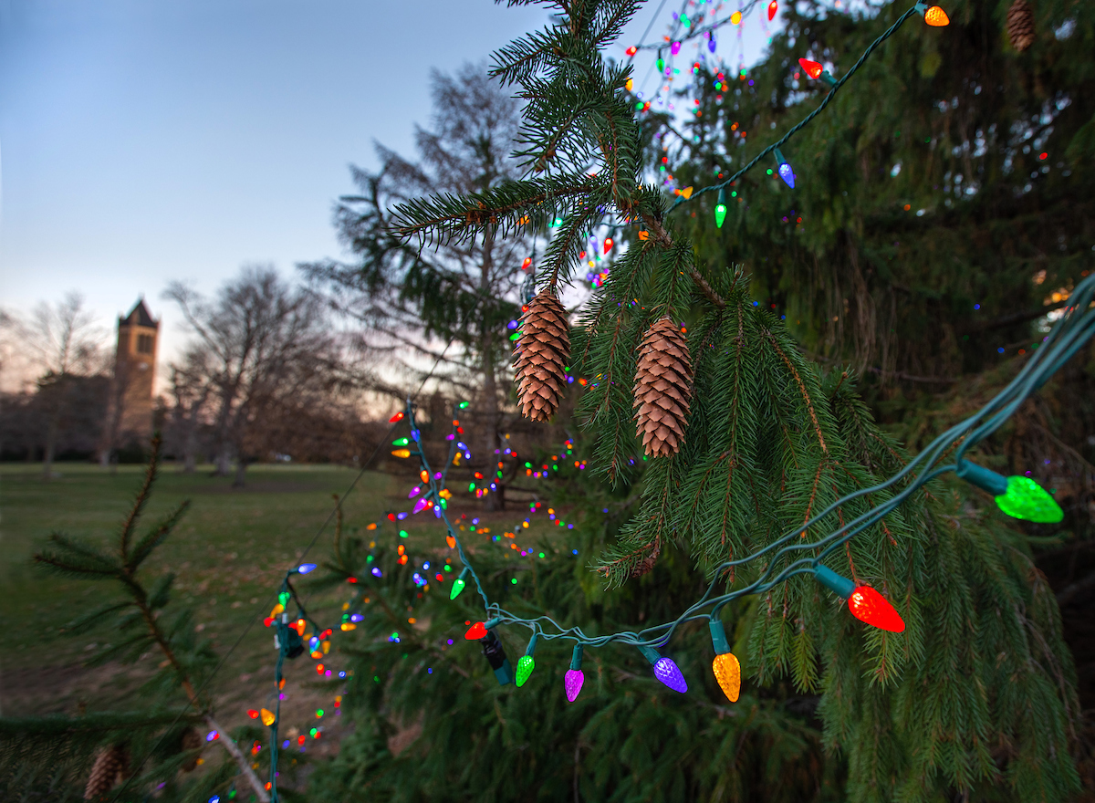 Close up image of christmas lights on campus