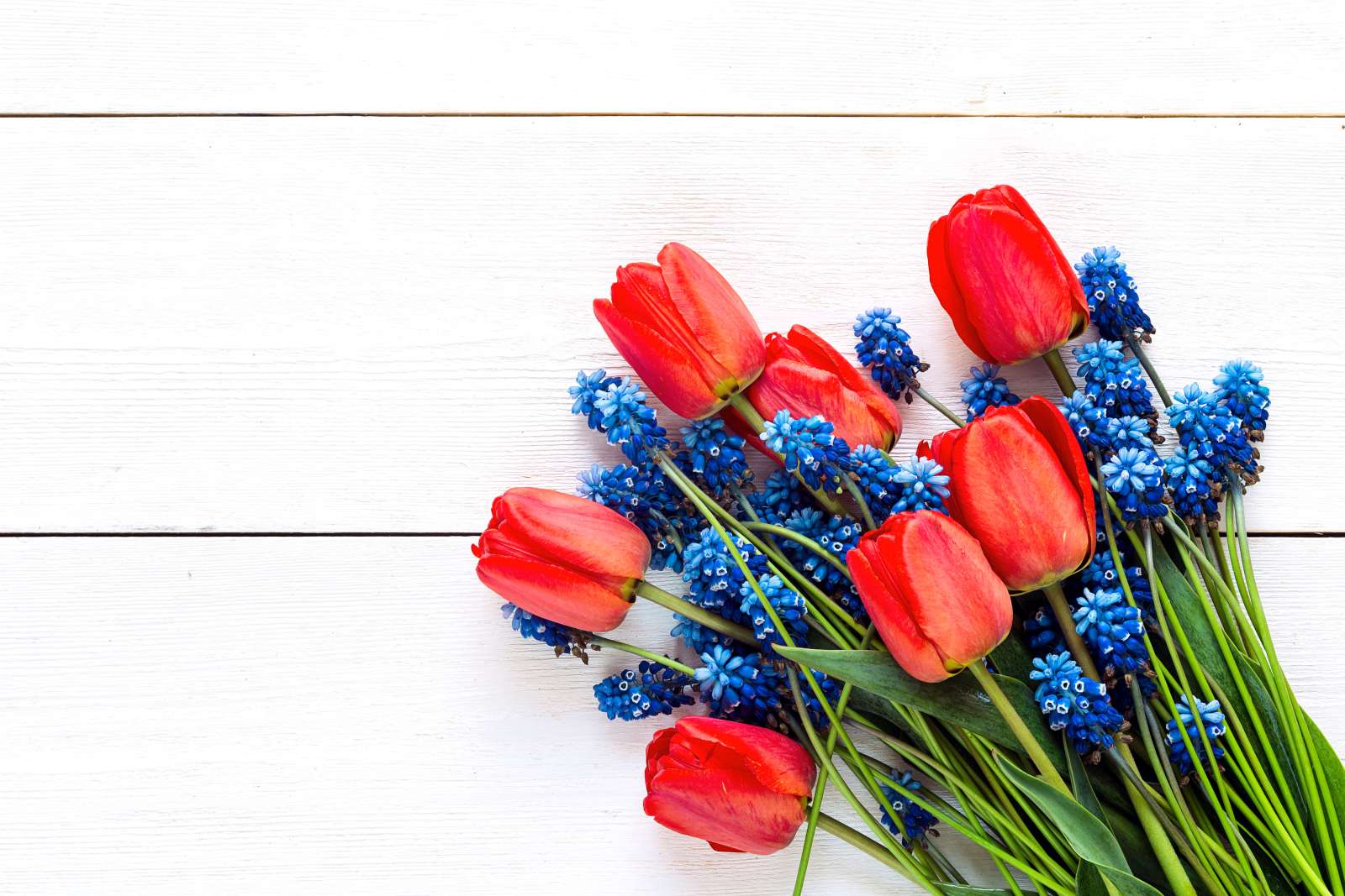 Photo of red and blue flower bouquet laying on a white backdrop